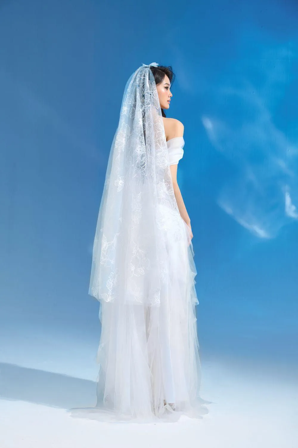 Aarya Fit and Flare Sweetheart Neck Mesh Lace Maxi Dress