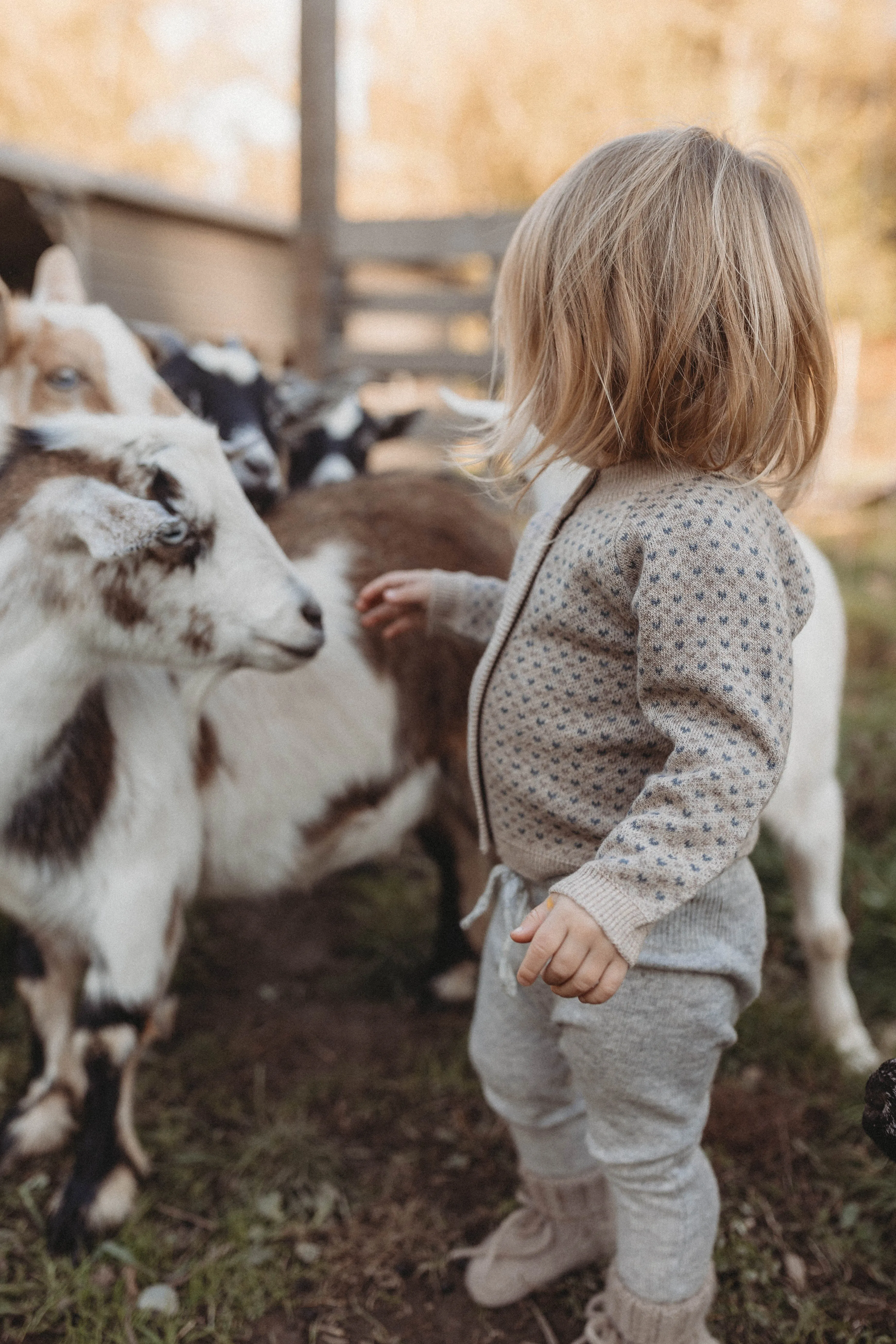 Cashmere Cardigan | Petit Coeur Natural