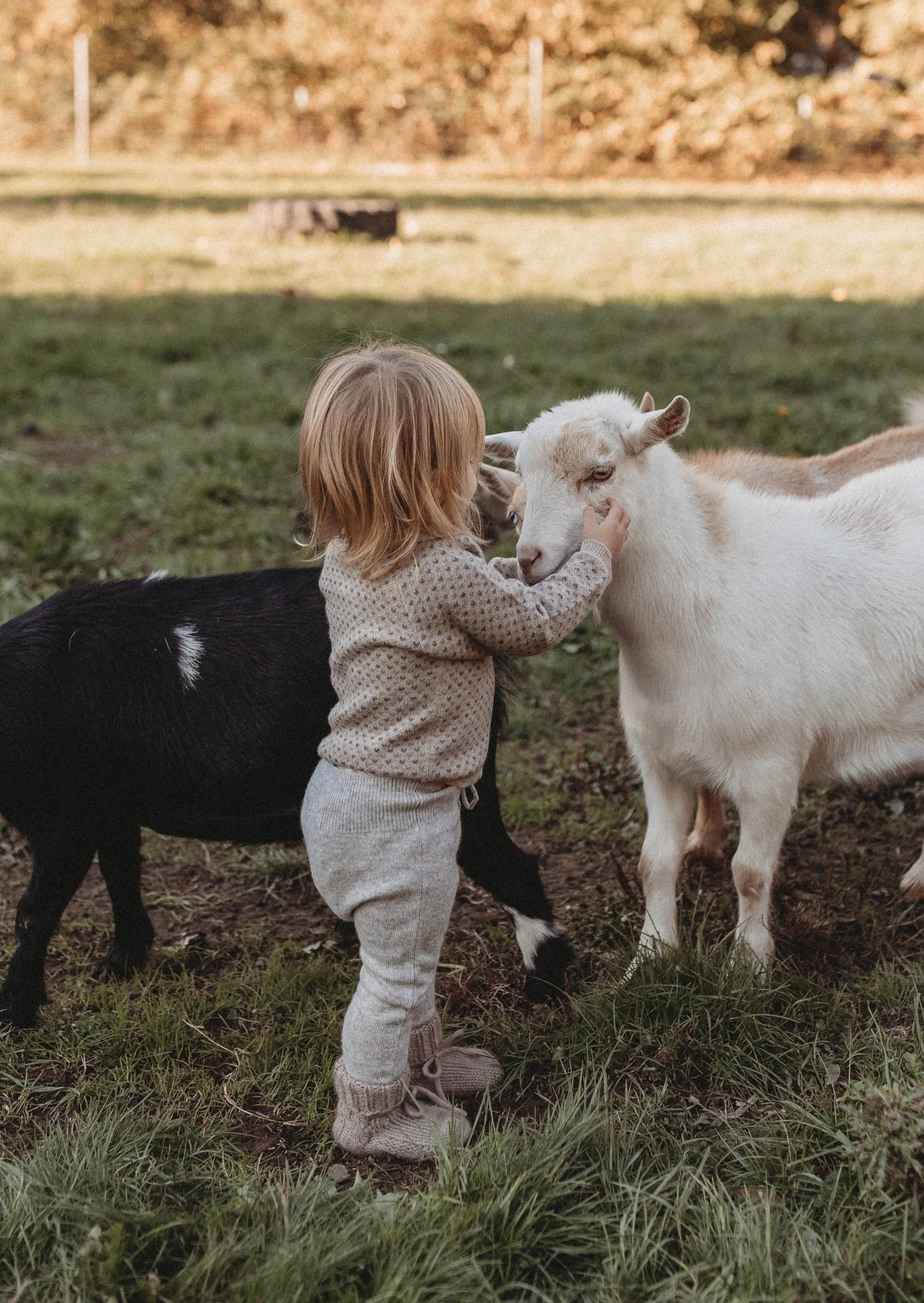 Cashmere Cardigan | Petit Coeur Natural