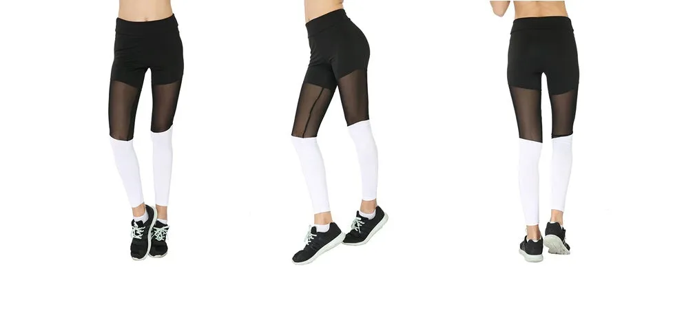 Leggings Mesh Active Pant (FAB-19103)