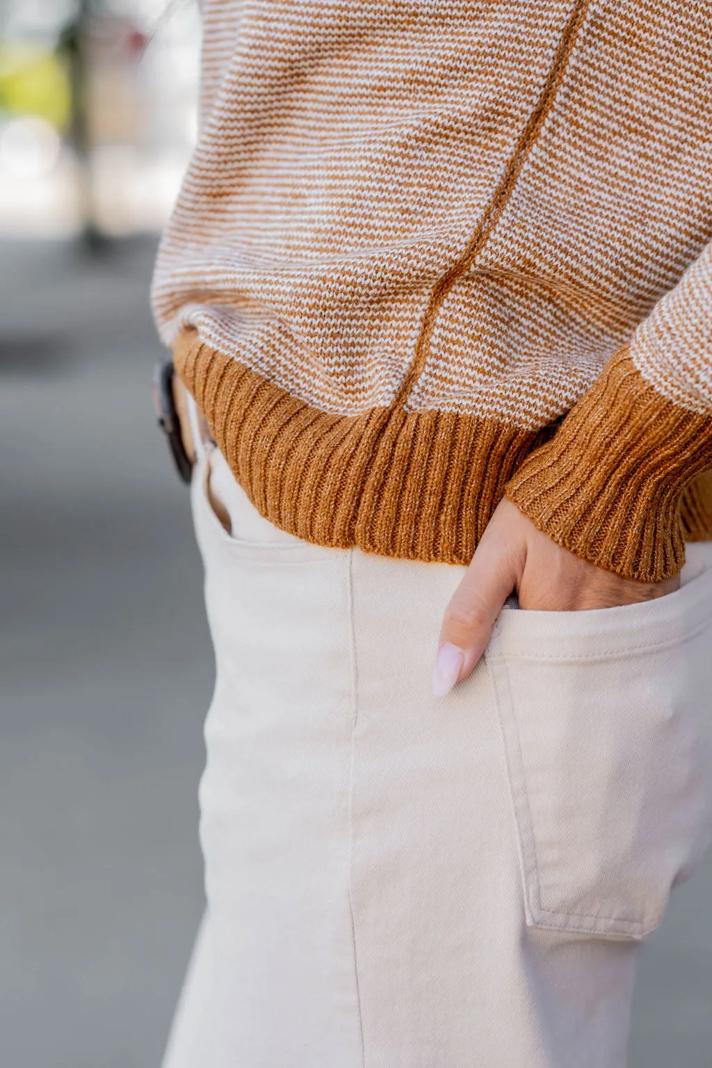 Marled Striped Solid Trim Sweater