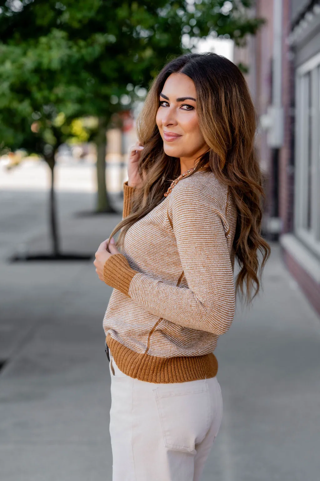 Marled Striped Solid Trim Sweater