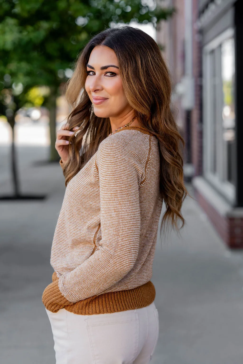 Marled Striped Solid Trim Sweater