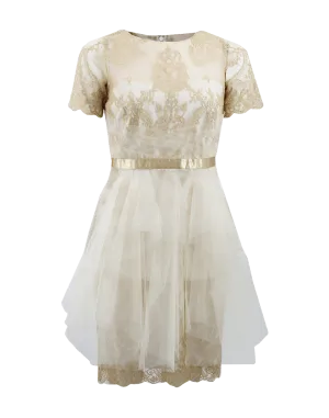 Metallic Lace Dress